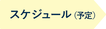 スケジュール（予定）